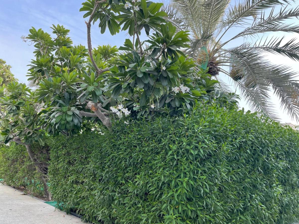 Al Corniche Hotel Шарджа Экстерьер фото